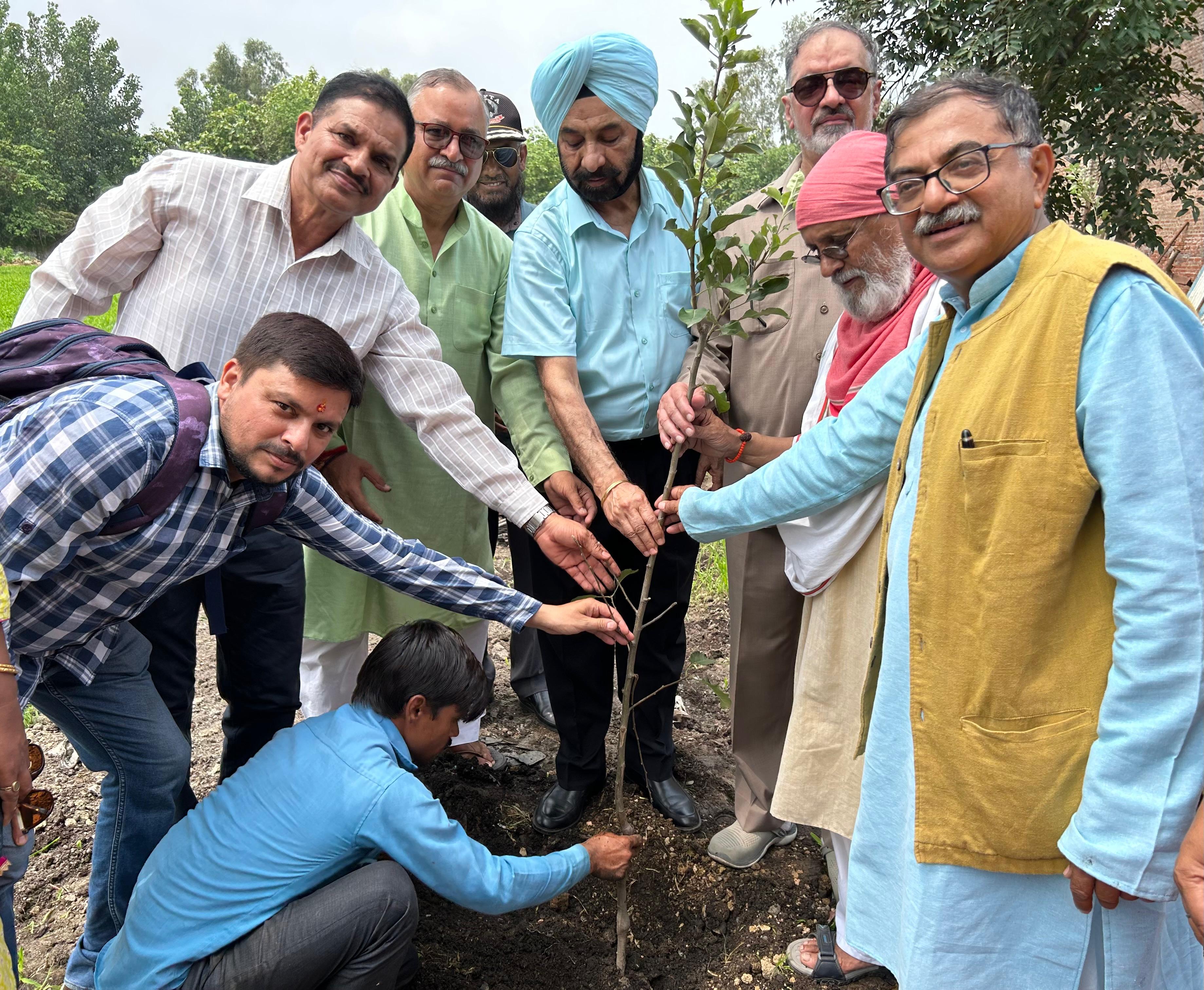 अच्छी पहल : हरेला माह के दौरान प्रदेशभर में एक लाख पौधे लगाएगी वरदान संस्था