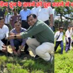 दून की हरियाली और पारंपरिक स्वरूप वापस लाने में जुटा एमडीडीए, बंशीधर तिवारी के साथ पूरी टीम जुटी