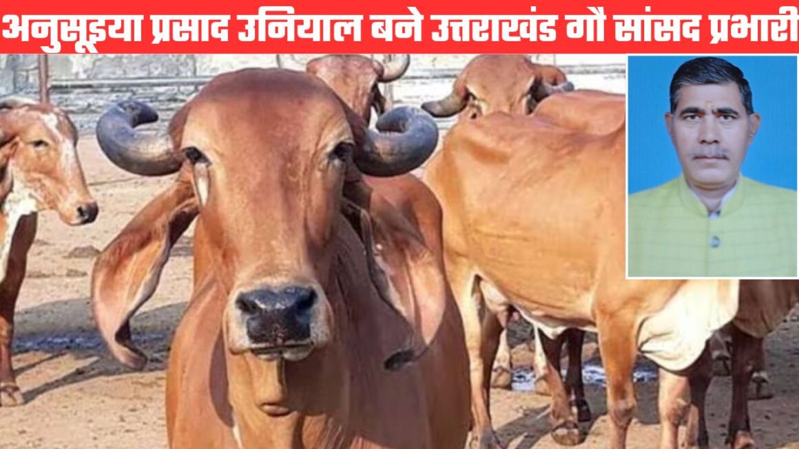 टिहरी के अनुसूइया उनियाल को बड़ी जिम्मेदारी, भारतीय गौ संसद ने बनाया उत्तराखंड गौ सांसद प्रभारी