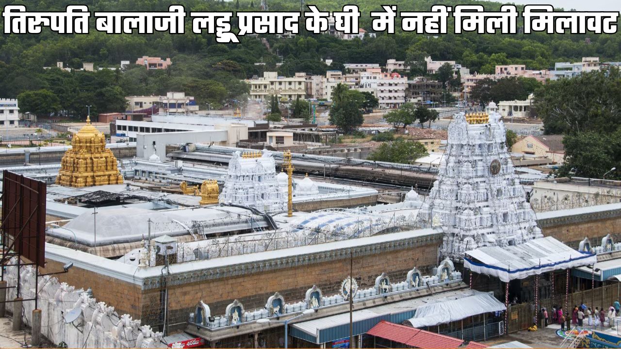 रुड़की की भोले बाबा ऑर्गेनिक डेयरी मिल्क कंपनी का घी शुद्ध, तिरुपति मंदिर के लड्डू बनाने में हुआ इस्तेमाल