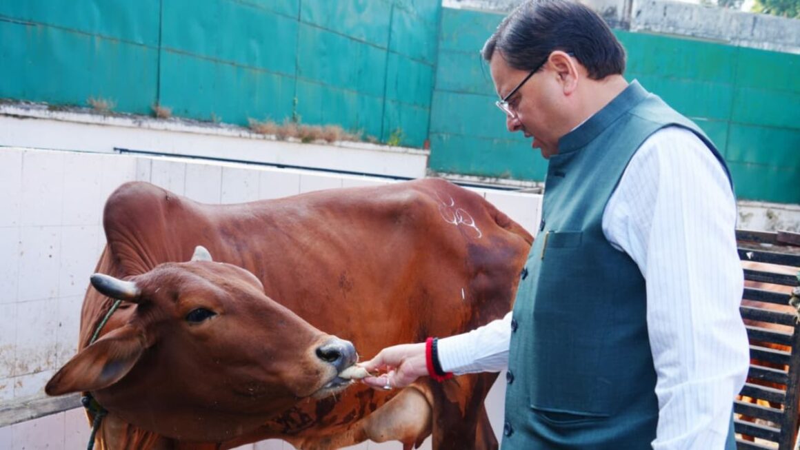 गोवर्धन पूजा पर सीएम धामी ने की पूजा-अर्चना, प्रदेश में गौ संरक्षण और संवर्धन की योजनाओं पर दिया जोर