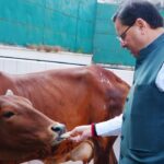 गोवर्धन पूजा पर सीएम धामी ने की पूजा-अर्चना, प्रदेश में गौ संरक्षण और संवर्धन की योजनाओं पर दिया जोर
