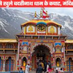 विधि विधान से खुले बदरीनाथ धाम के कपाट, पहले ही दिन बड़ी संख्या में श्रद्धालुओं ने किए भगवानी बदरी विशाल के दर्शन