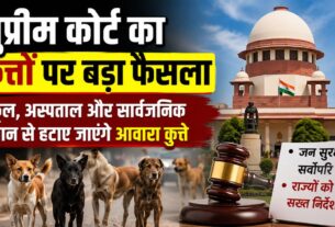 सुप्रीम कोर्ट ने आवारा कुत्तों को लेकर जताई सख्ती, सार्वजनिक जगहों से हटाने को लेकर राज्यों को दिए निर्देश