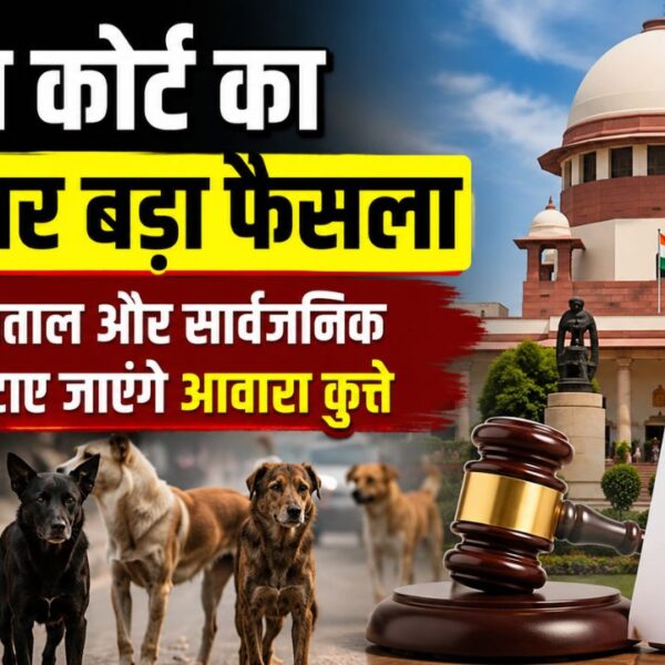 सुप्रीम कोर्ट ने आवारा कुत्तों को लेकर जताई सख्ती, सार्वजनिक जगहों से हटाने को लेकर राज्यों को दिए निर्देश