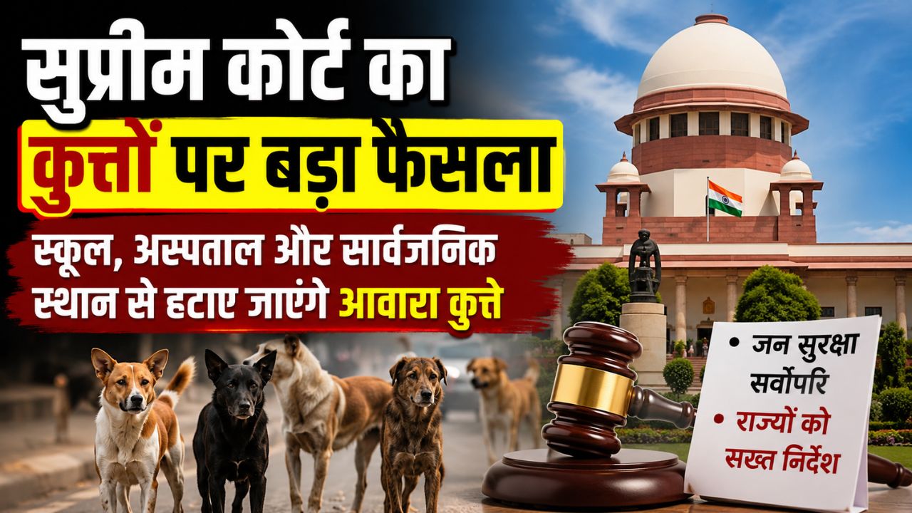 सुप्रीम कोर्ट ने आवारा कुत्तों को लेकर जताई सख्ती, सार्वजनिक जगहों से हटाने को लेकर राज्यों को दिए निर्देश