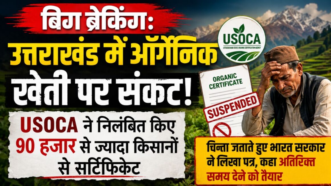 उत्तराखंड में जैविक खेती से जुड़े किसानों को बड़ा झटका, यूएसओसीए ने 90 हजार से ज्यादा सर्टिफिकेट किए सस्पेंड