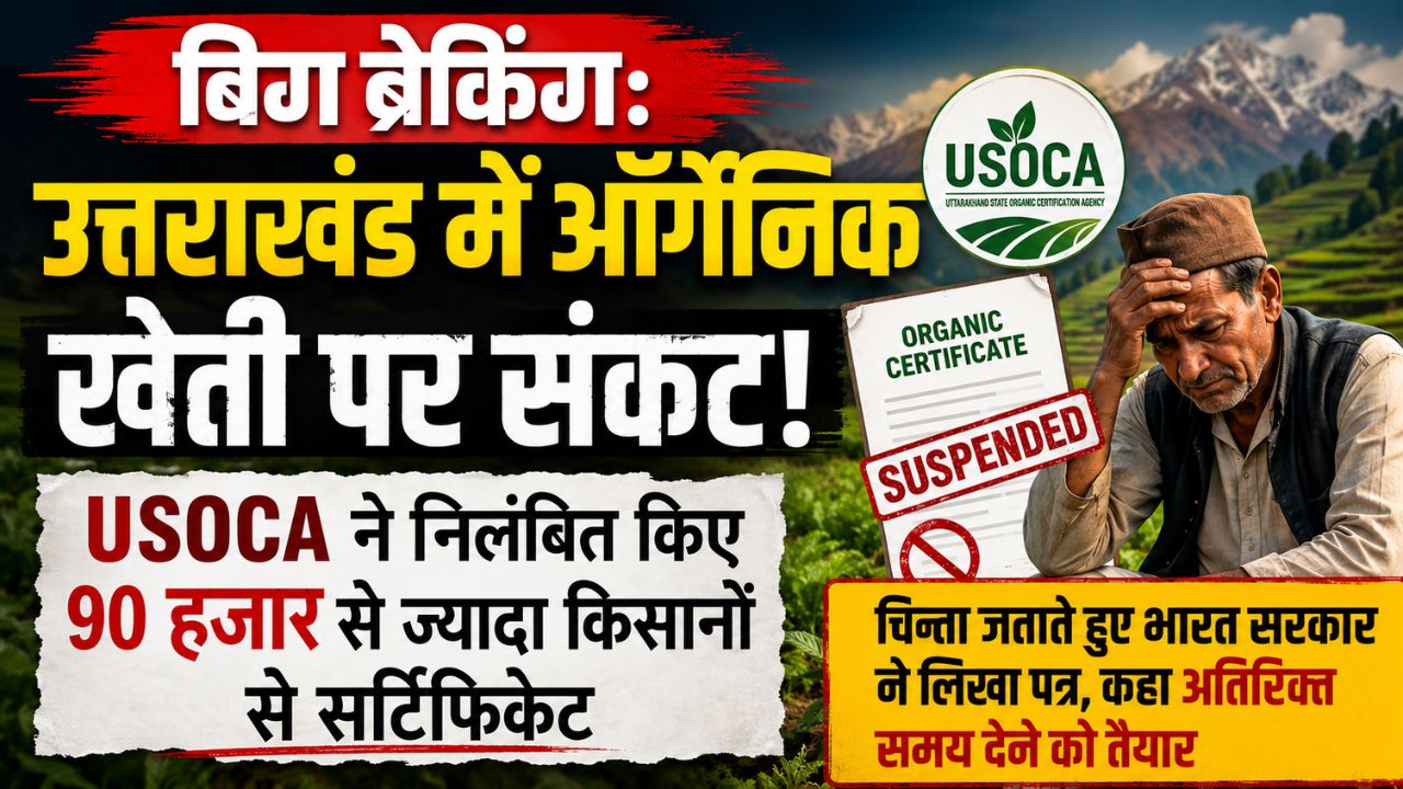उत्तराखंड में जैविक खेती से जुड़े किसानों को बड़ा झटका, यूएसओसीए ने 90 हजार से ज्यादा सर्टिफिकेट किए सस्पेंड